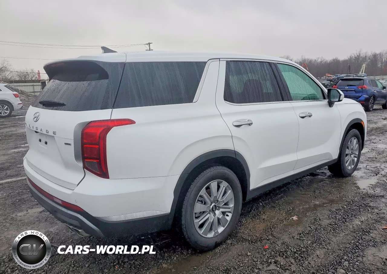 2025 Hyundai Palisade Se VIN:KM8R1DGE4SU937289 - 3