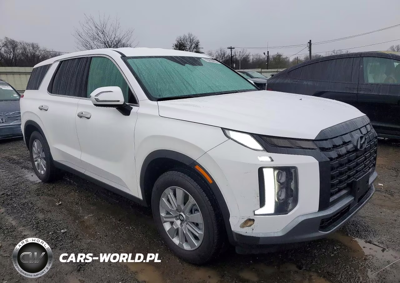 2025 Hyundai Palisade Se VIN:KM8R1DGE4SU937289 - 4