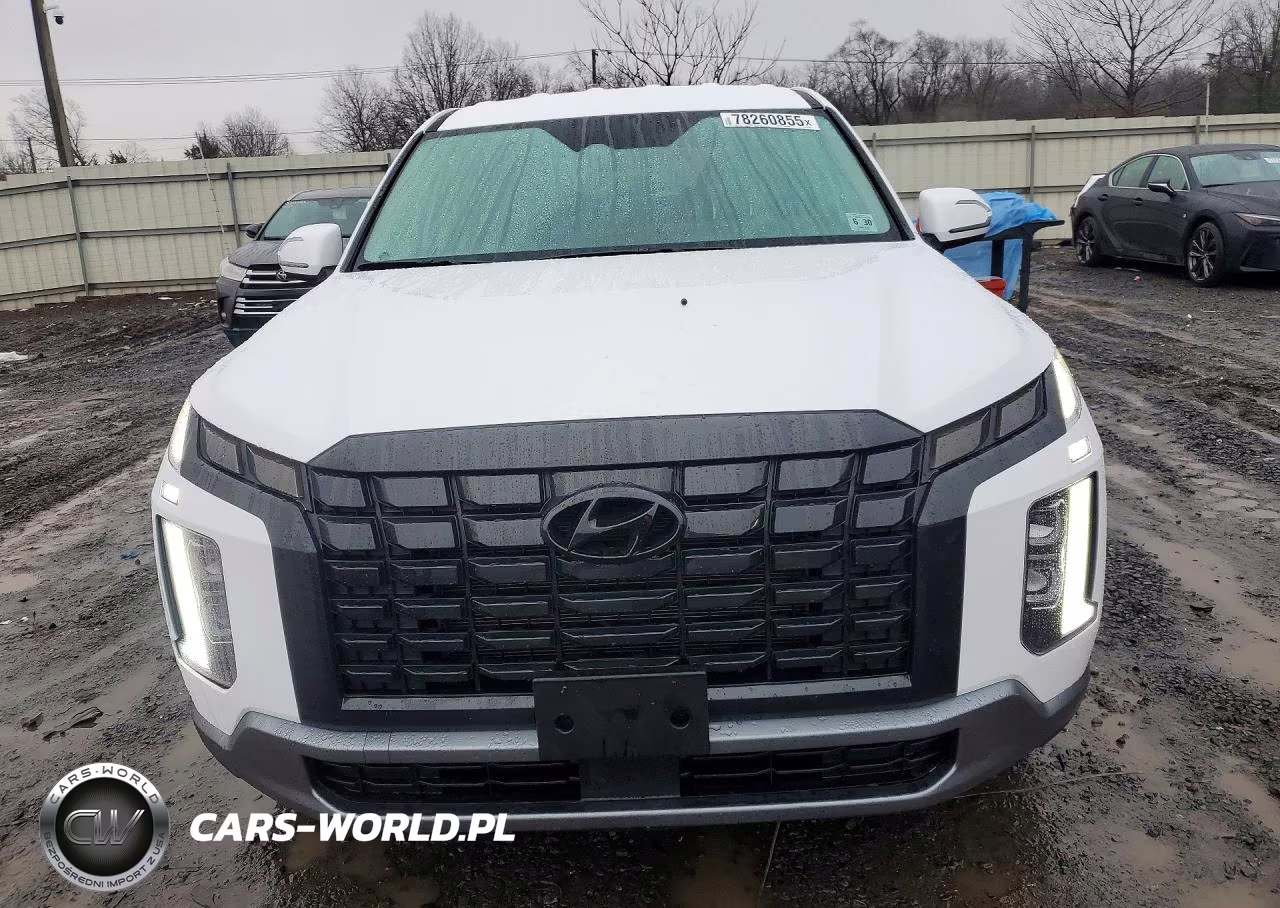 2025 Hyundai Palisade Se VIN:KM8R1DGE4SU937289 - 5