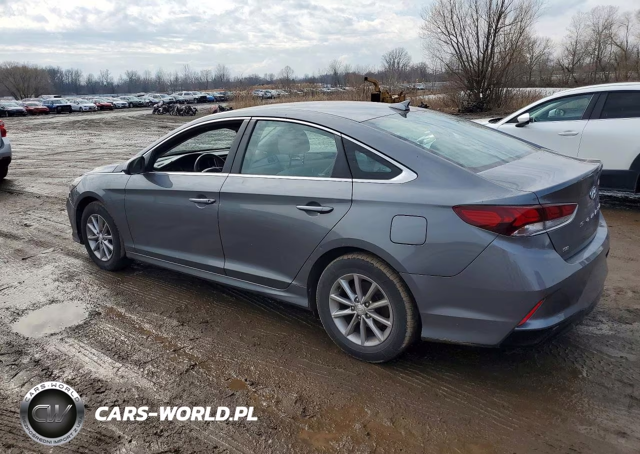 2018 Hyundai Sonata Se VIN:5NPE24AF0JH665849 - 2