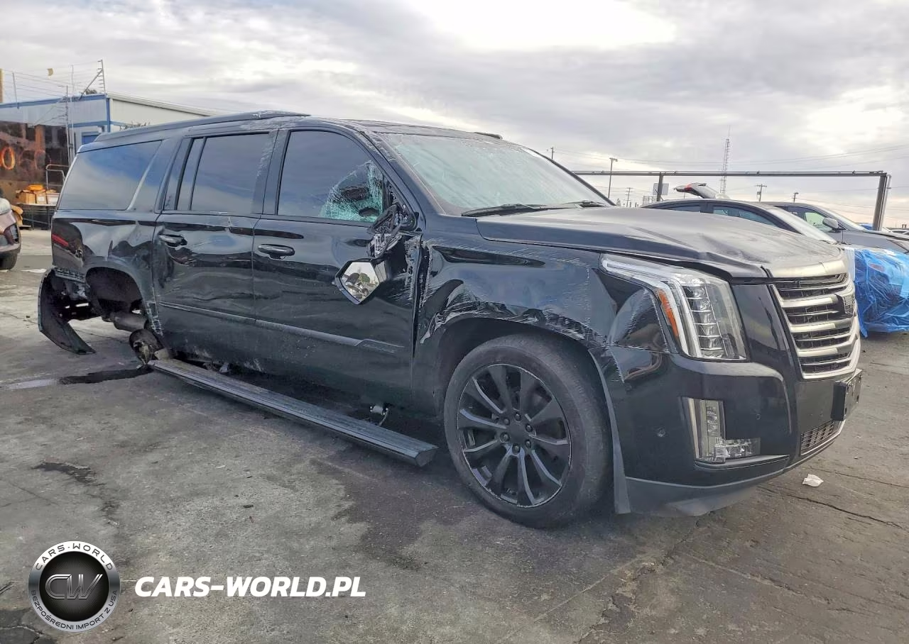 2019 Cadillac Escalade Esv Platinum VIN:1GYS4KKJ5KR210097 - 4