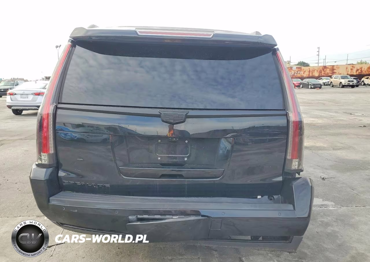 2019 Cadillac Escalade Esv Platinum VIN:1GYS4KKJ5KR210097 - 6