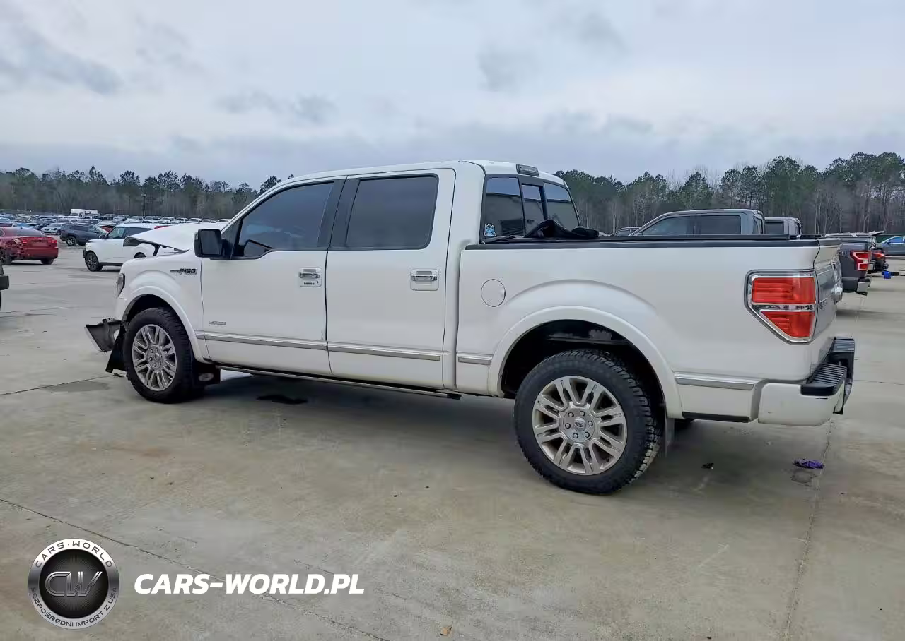 2013 Ford F150 Supercrew VIN:1FTFW1CT8DFD53447 - 2