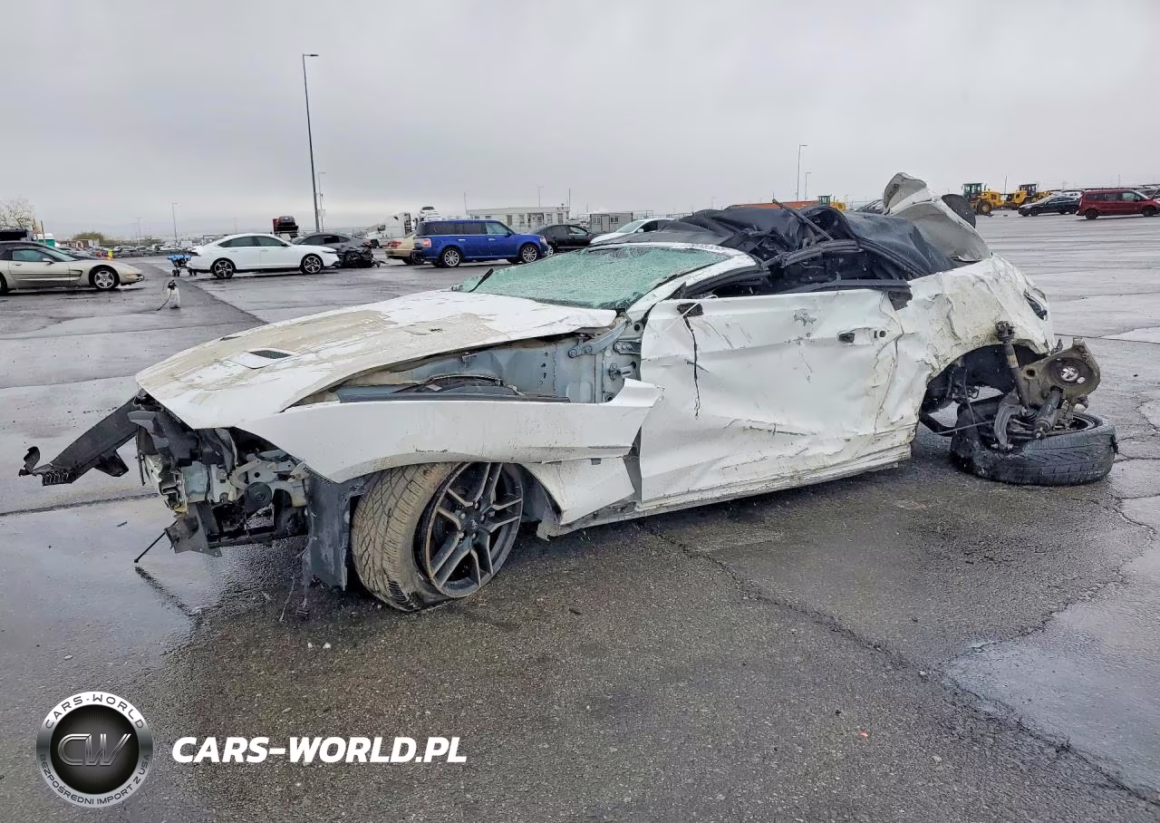 2019 Ford Mustang