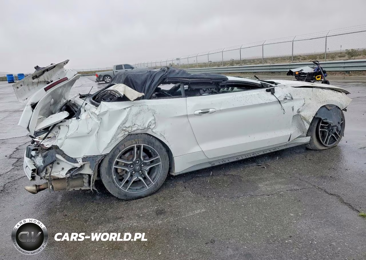 2019 Ford Mustang VIN:1FATP8UH6K5170995 - 3