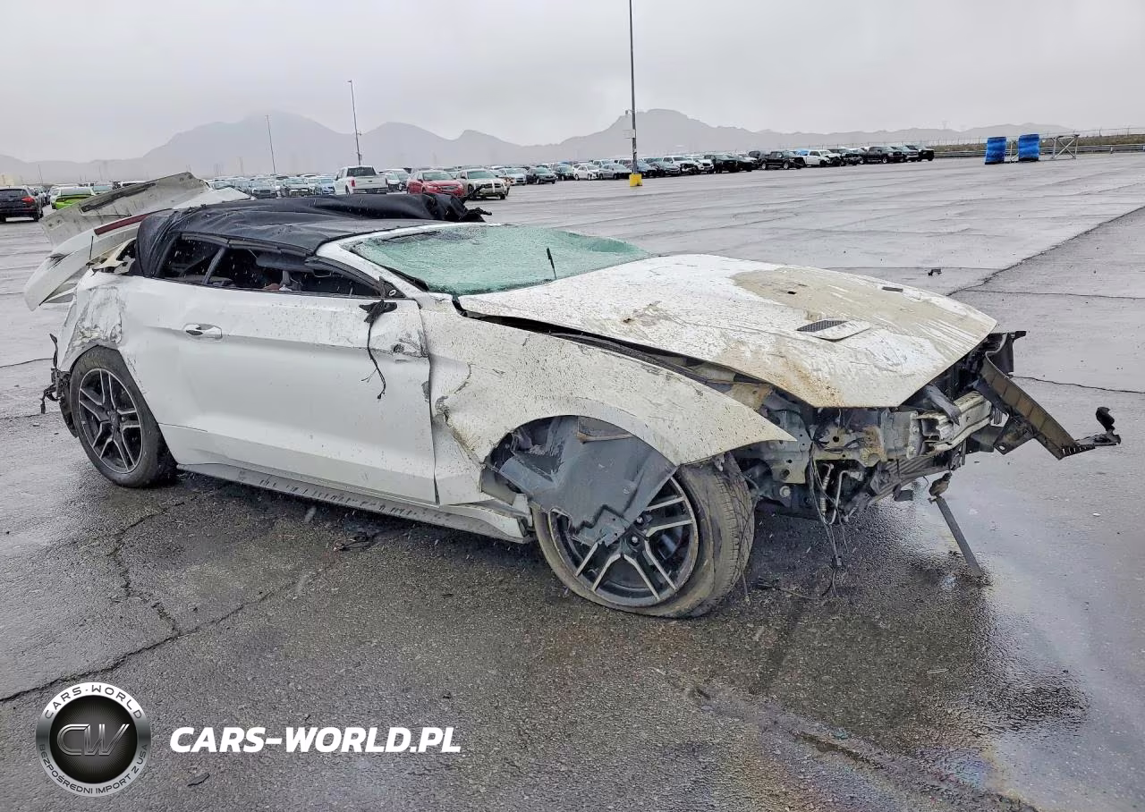 2019 Ford Mustang VIN:1FATP8UH6K5170995 - 4