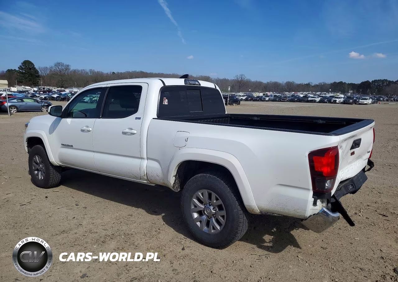 2019 Toyota Tacoma Double Cab VIN:3TMBZ5DN5KM020455 - 2