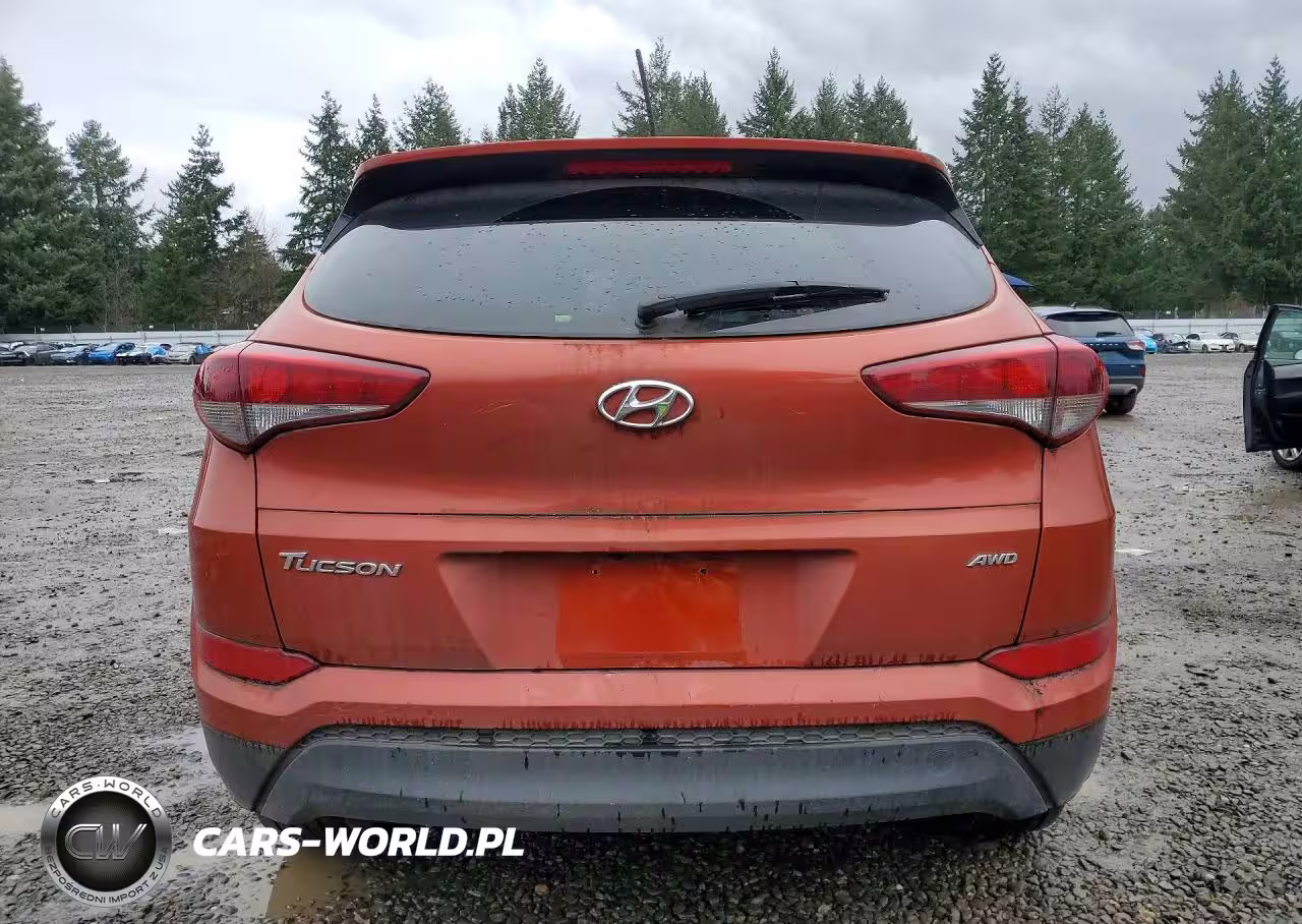2016 Hyundai Tucson Se VIN:KM8J3CA44GU129856 - 6