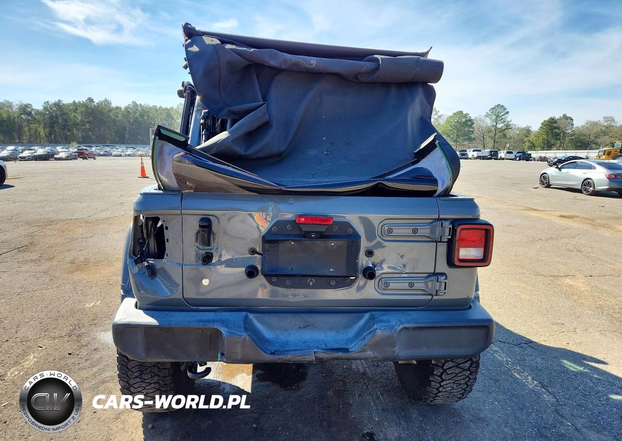 2020 Jeep Wrangler Unlimited Sport VIN:1C4HJXDG9LW348784 - 6