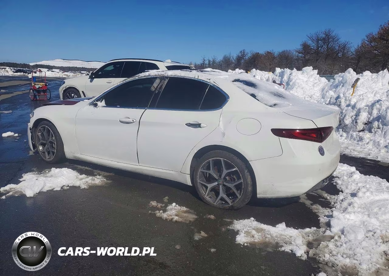 2019 Alfa Romeo Giulia VIN:ZARFANAN6K7622617 - 2