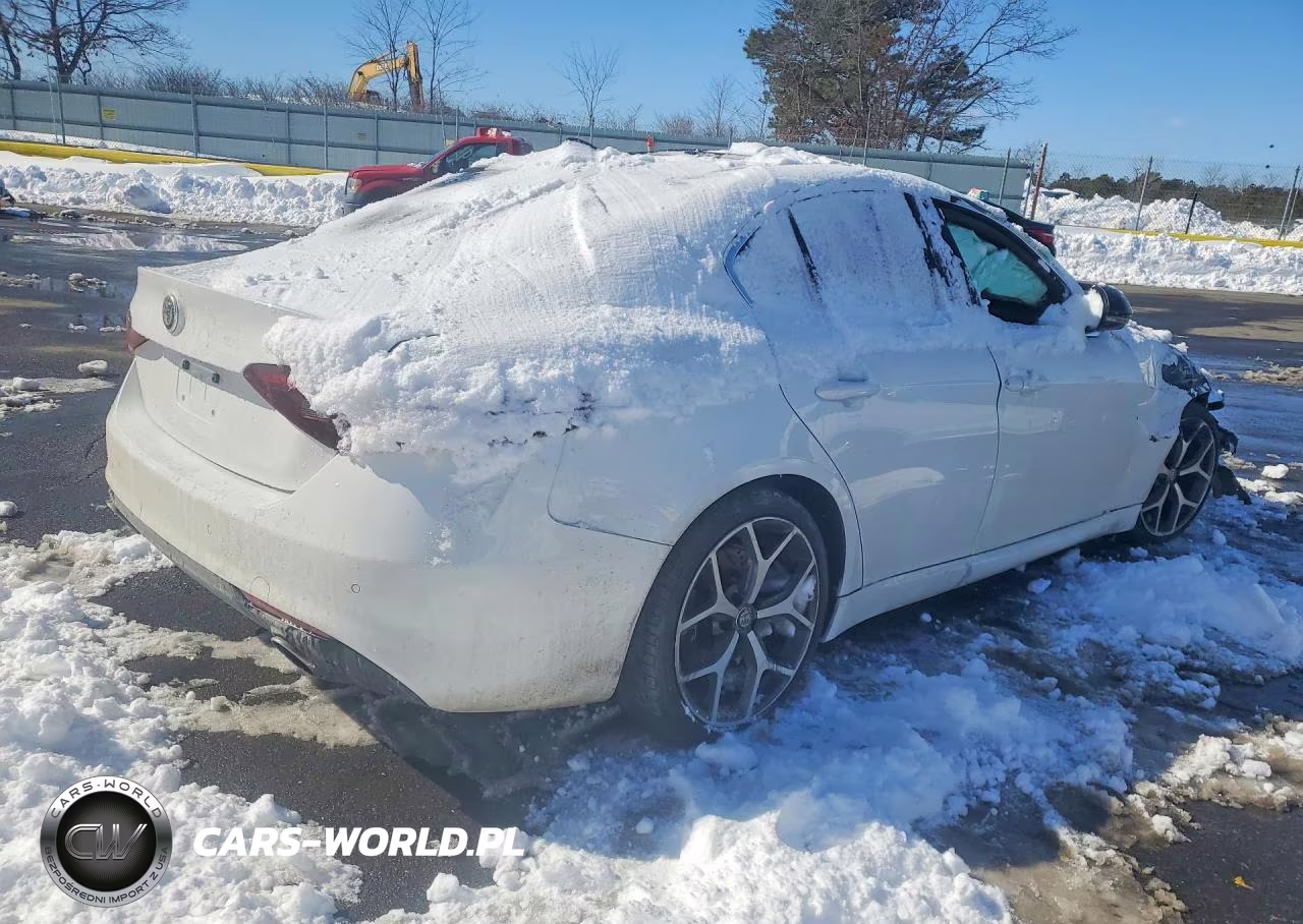 2019 Alfa Romeo Giulia VIN:ZARFANAN6K7622617 - 3