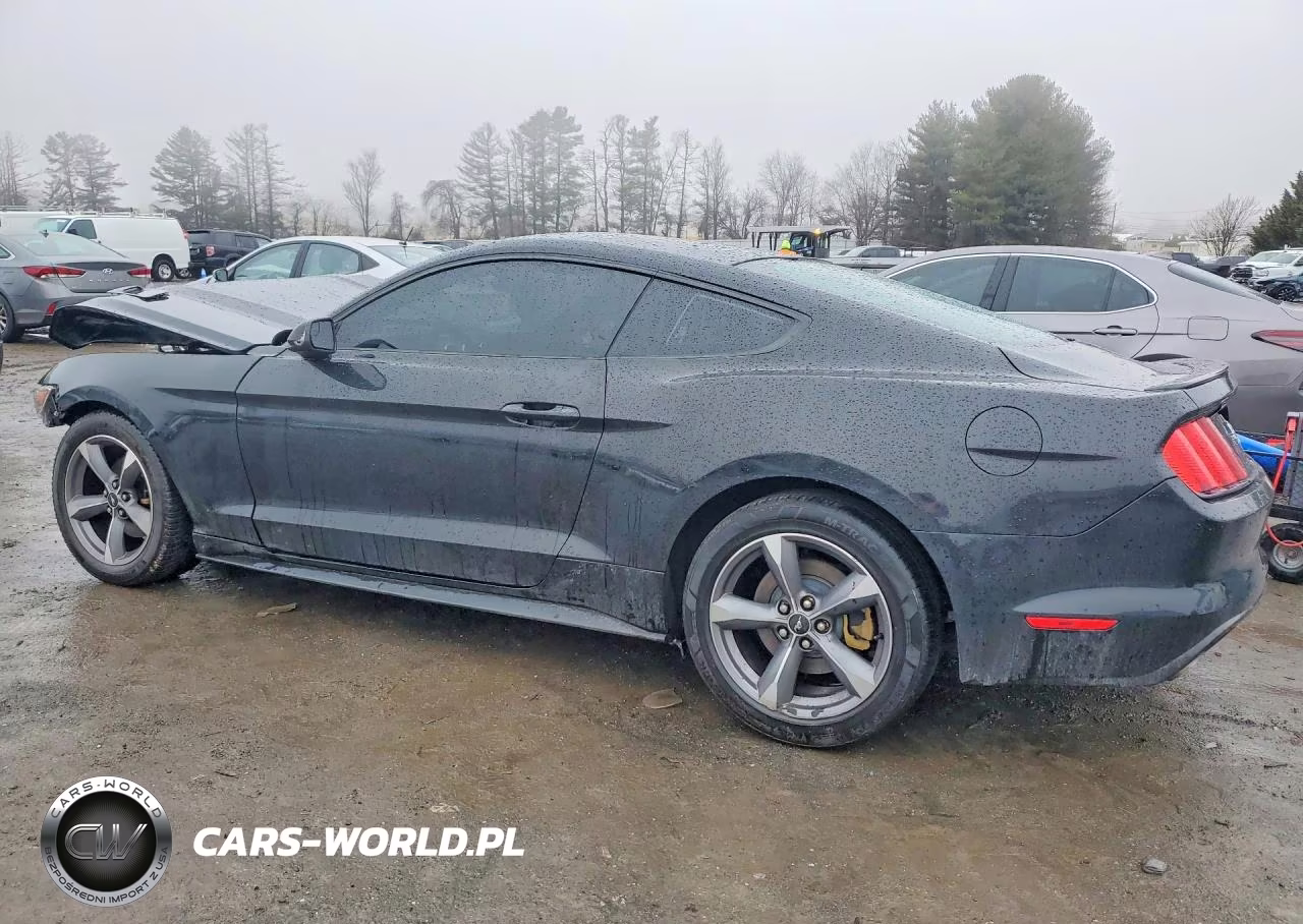 2015 Ford Mustang VIN:1FA6P8AM8F5321694 - 2