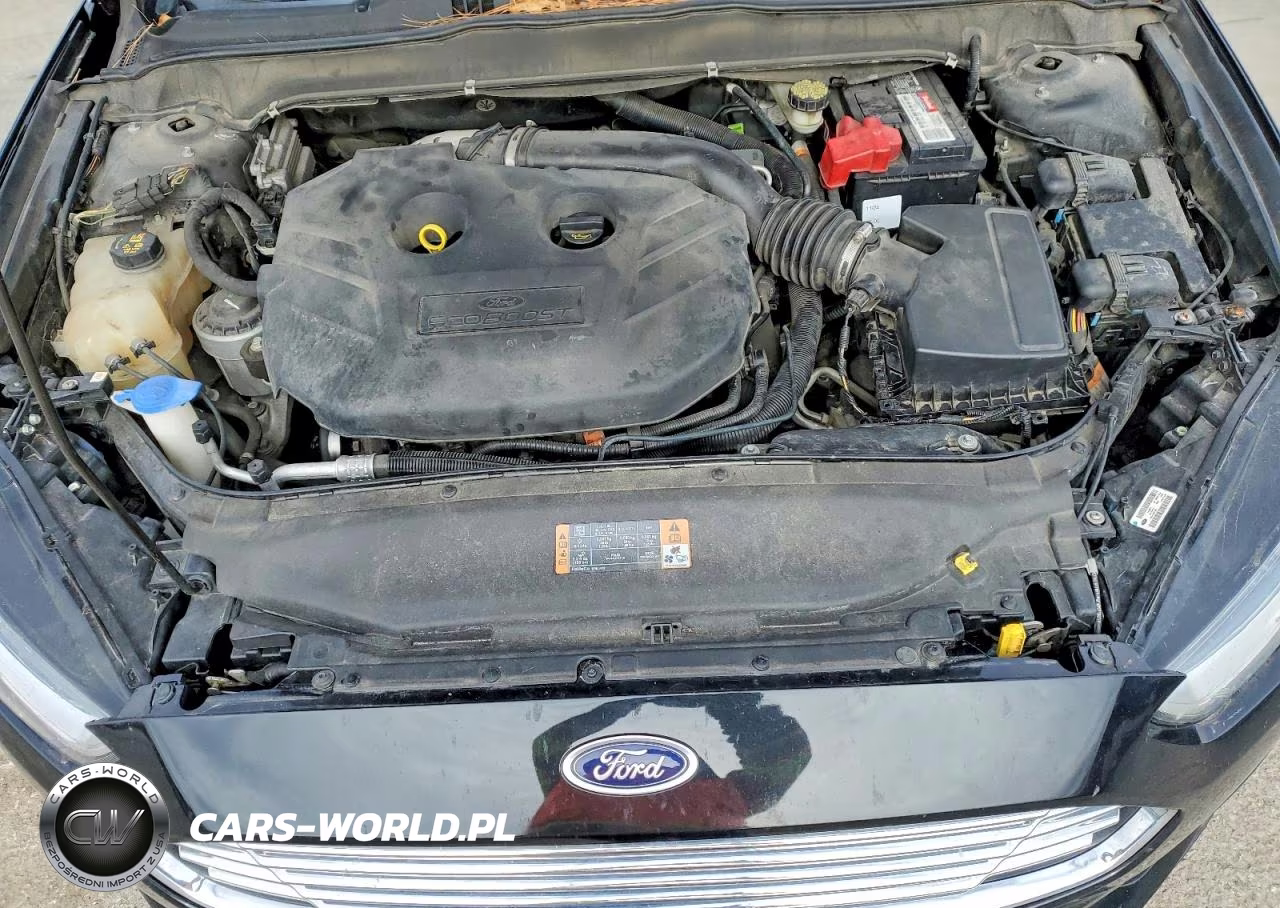 2014 Ford Fusion Titanium VIN:3FA6P0K98ER304904 - 11
