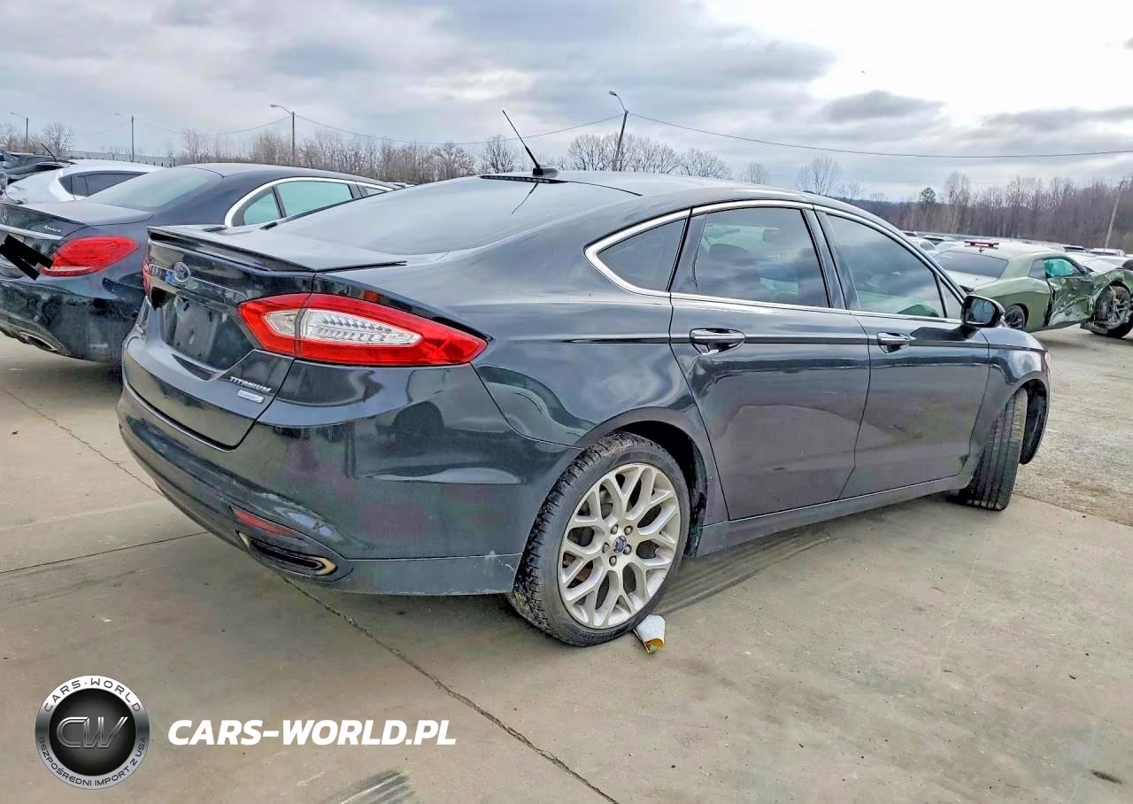 2014 Ford Fusion Titanium VIN:3FA6P0K98ER304904 - 3