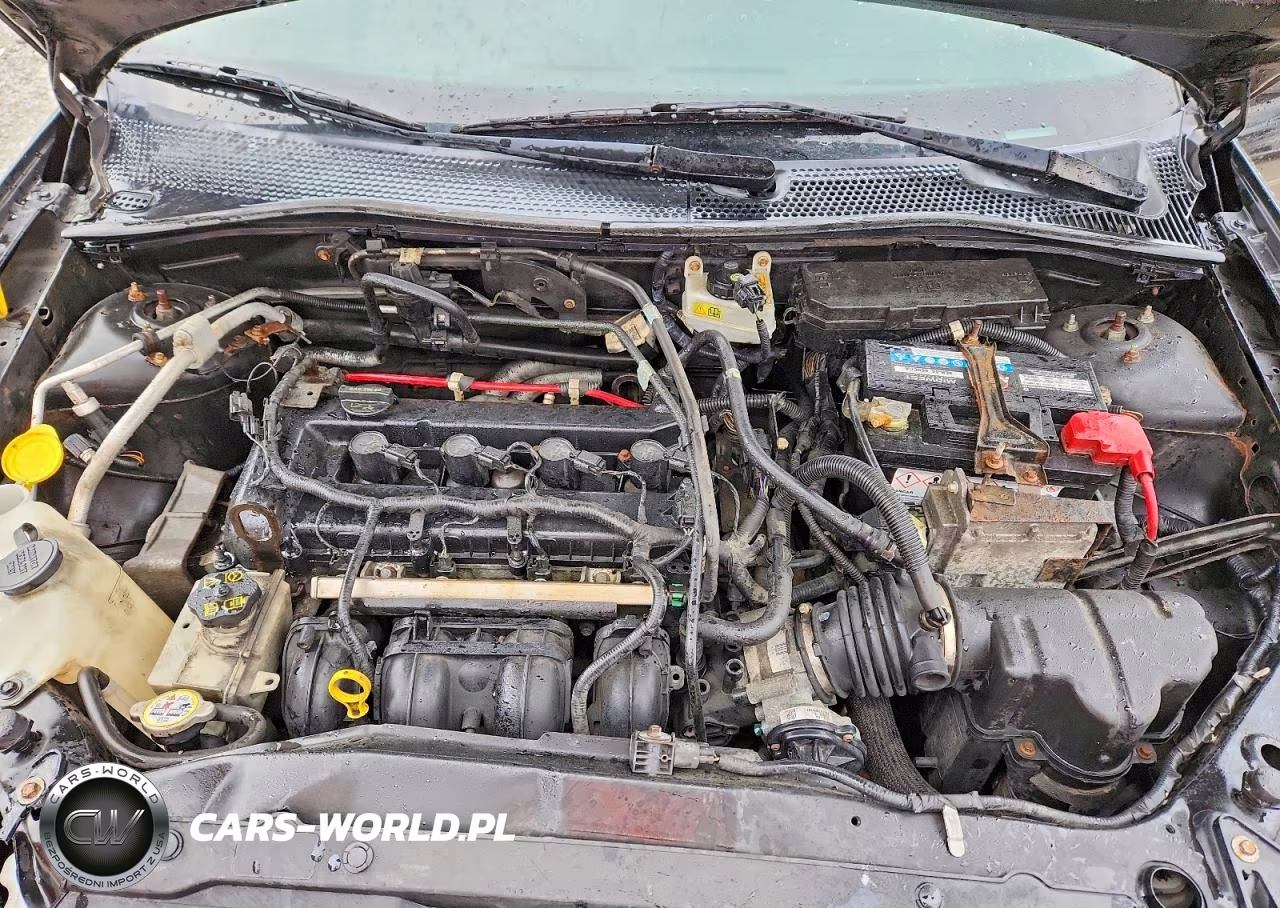 2009 Ford Focus Sel VIN:1FAHP37N29W208060 - 11