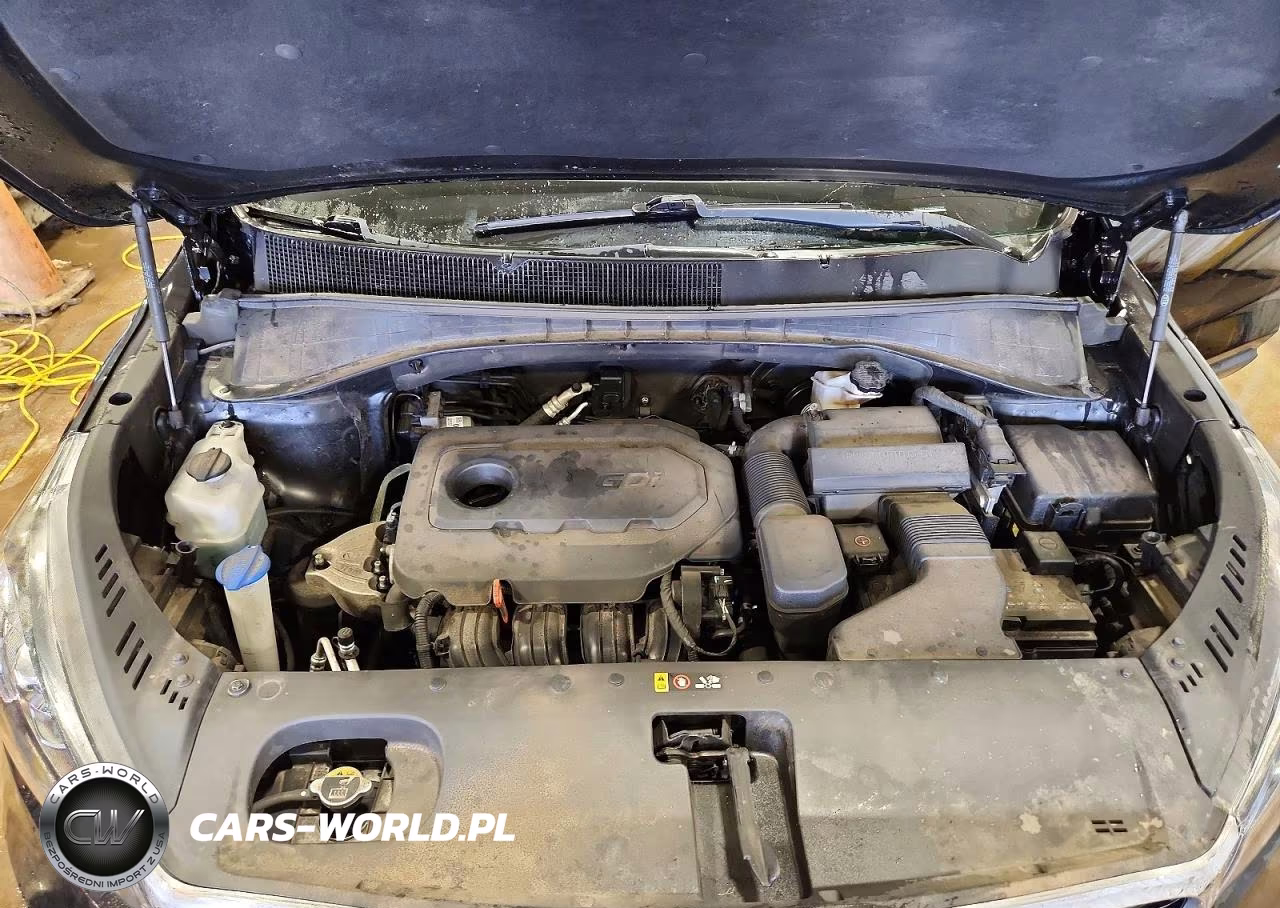 2019 Kia Sorento L VIN:5XYPG4A38KG577060 - 12