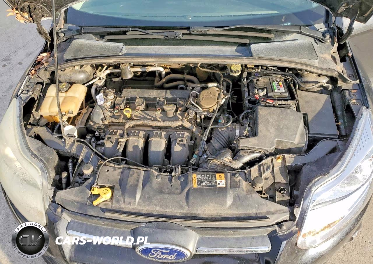2014 Ford Focus Se VIN:1FADP3F2XEL111691 - 11