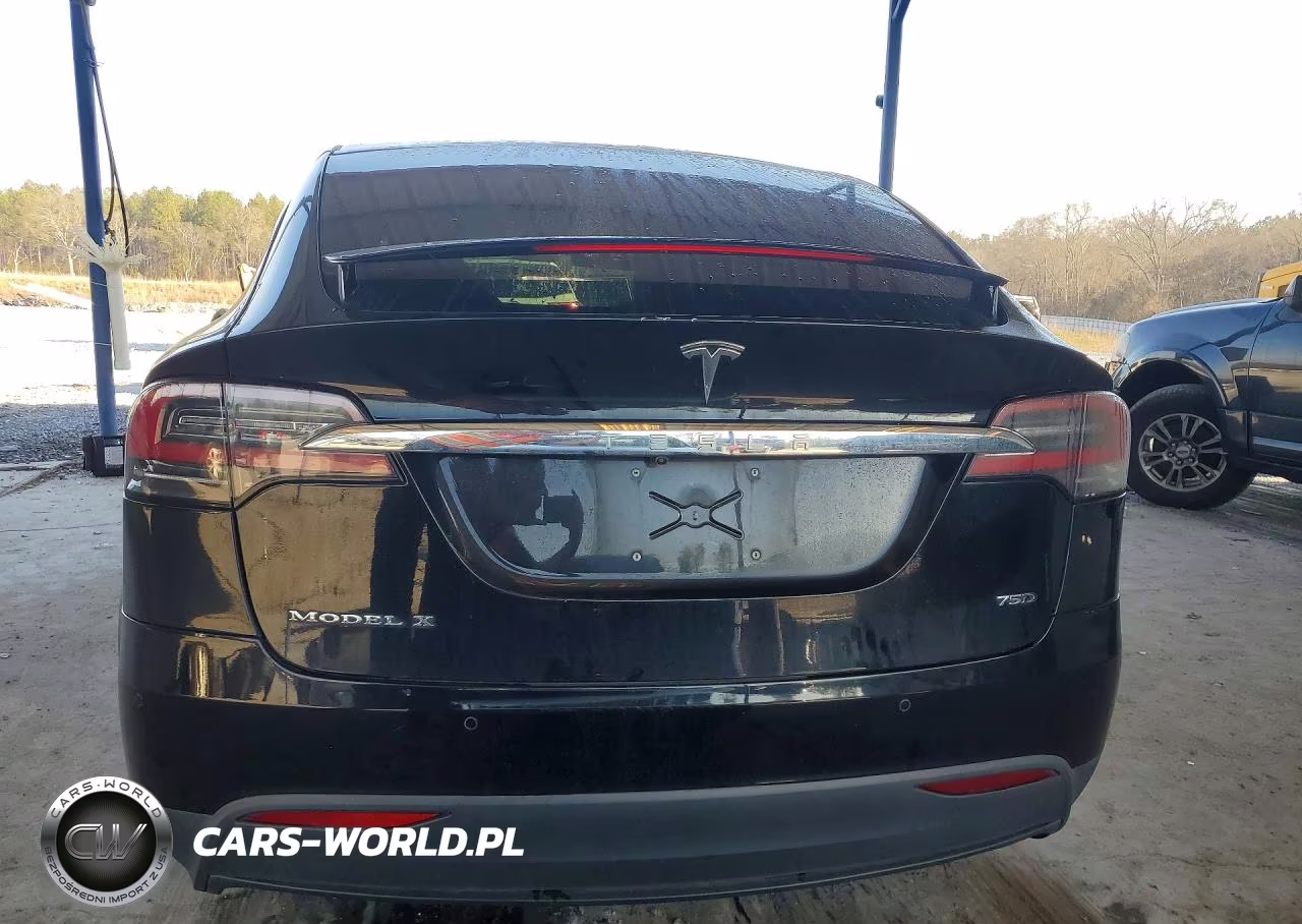 2017 Tesla Model X VIN:5YJXCBE23HF049623 - 6