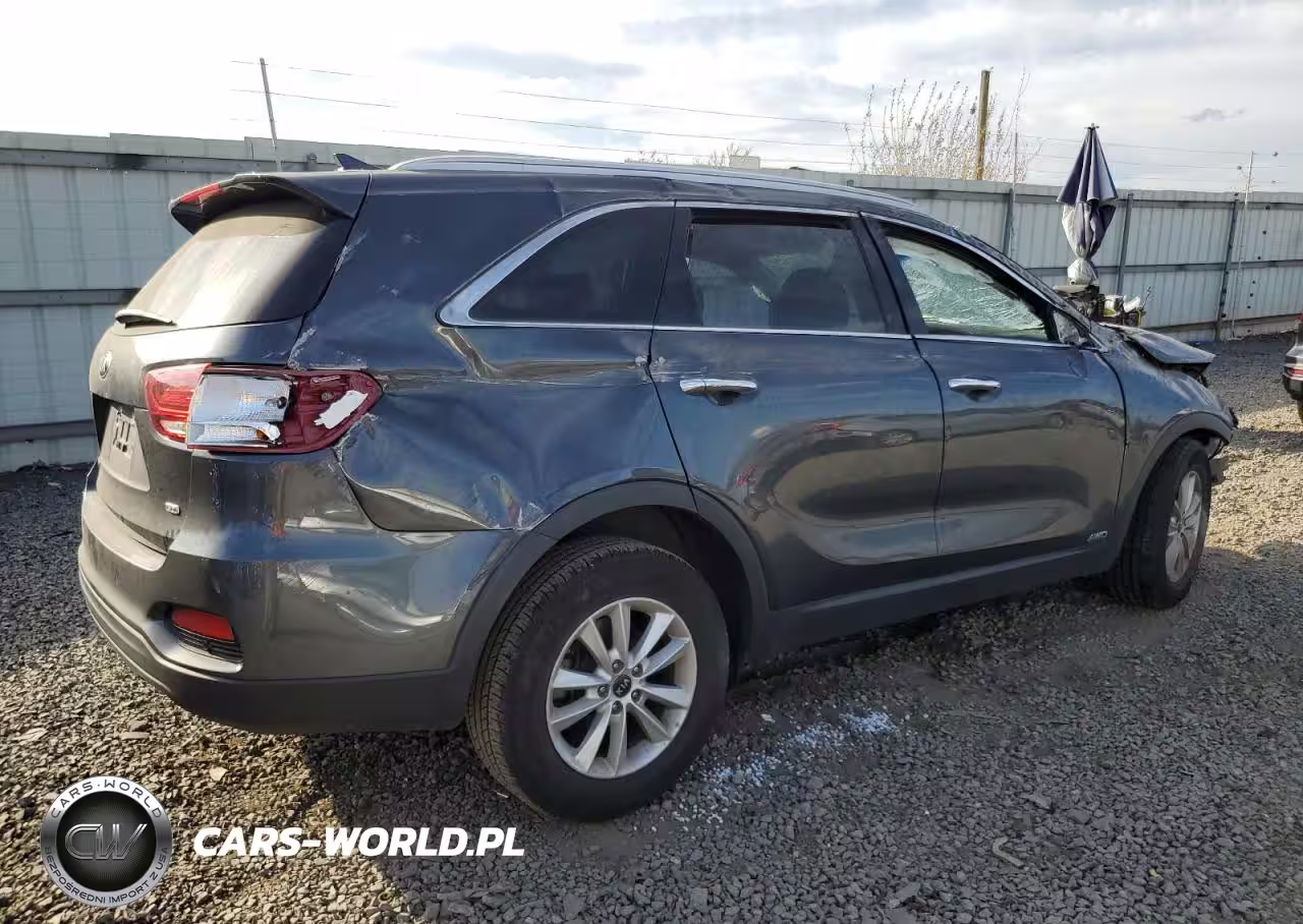 2019 Kia Sorento L VIN:5XYPGDA3XKG603822 - 3