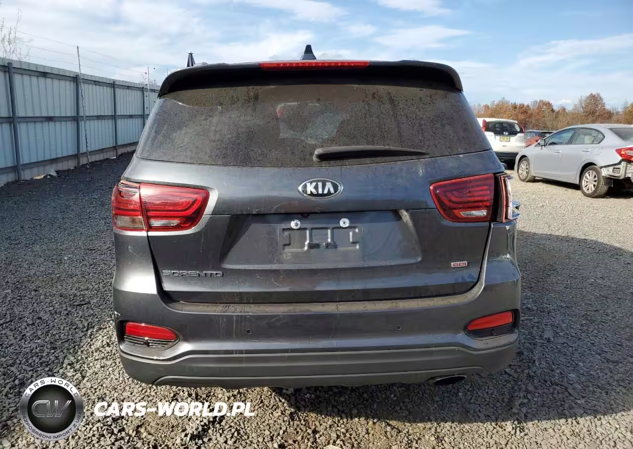 2019 Kia Sorento L VIN:5XYPGDA3XKG603822 - 6