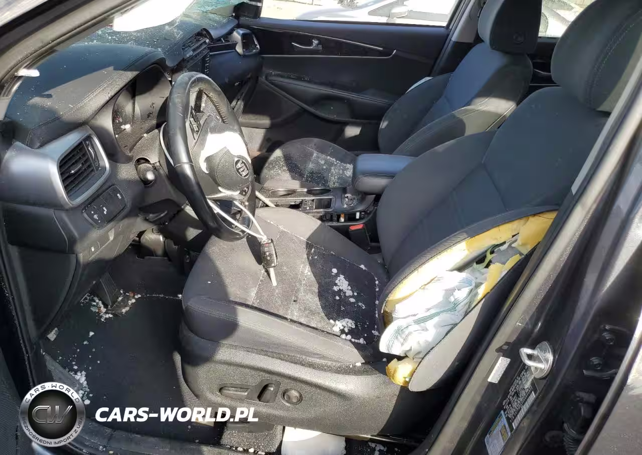 2019 Kia Sorento L VIN:5XYPGDA3XKG603822 - 7