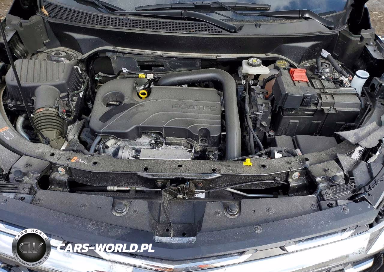 2025 Chevrolet Equinox Lt VIN:3GNAXPEG3SL230272 - 12
