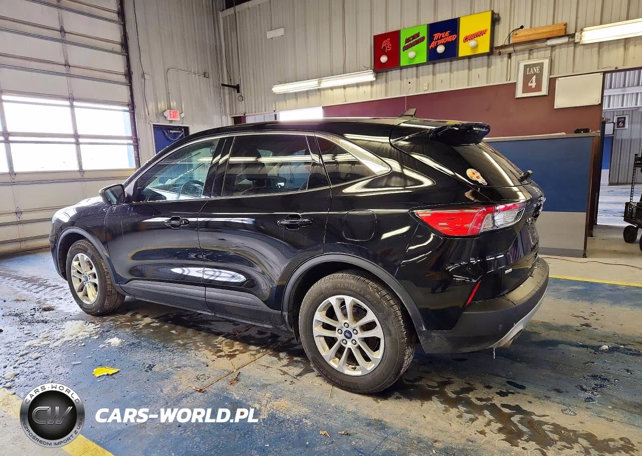 2022 Ford Escape Se VIN:1FMCU0G69NUB30561 - 2
