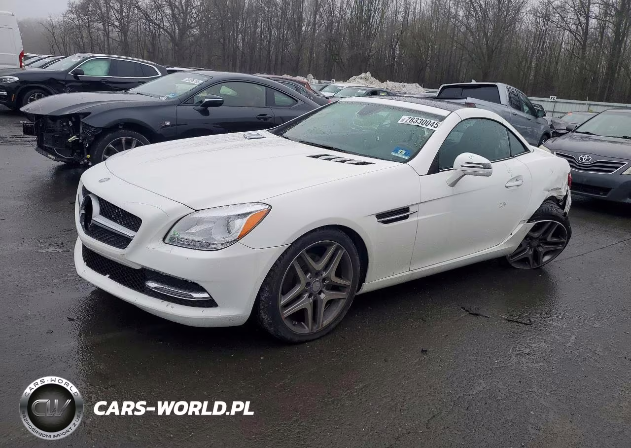 2014 Mercedes-Benz Slk 250