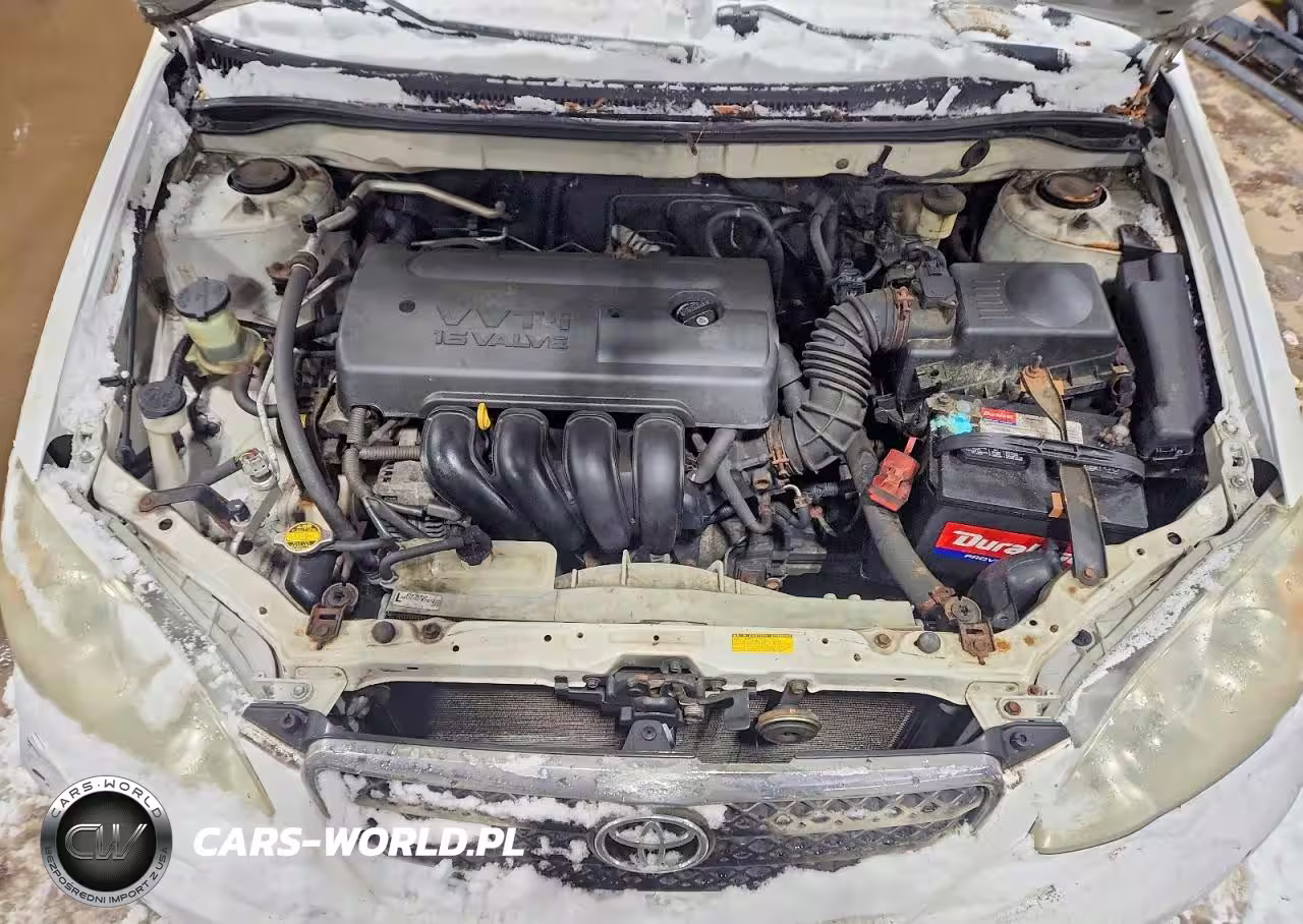 2008 Toyota Corolla Ce VIN:1NXBR32E38Z940236 - 11