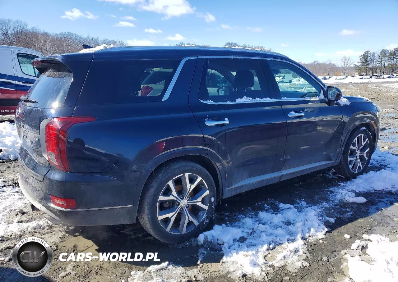 2021 Hyundai Palisade Limited VIN:KM8R5DHEXMU251750 - 3