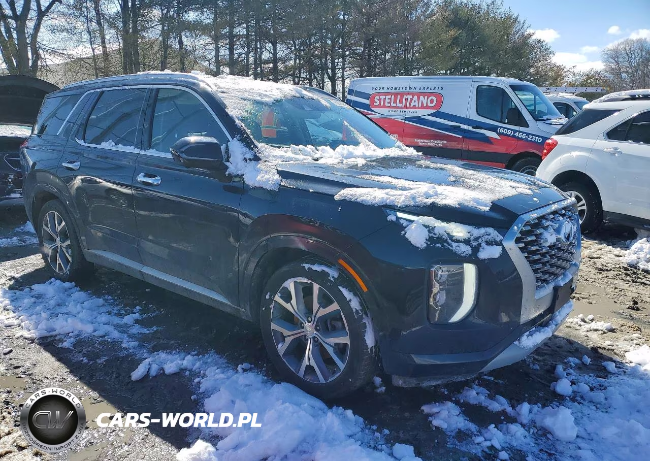 2021 Hyundai Palisade Limited VIN:KM8R5DHEXMU251750 - 4