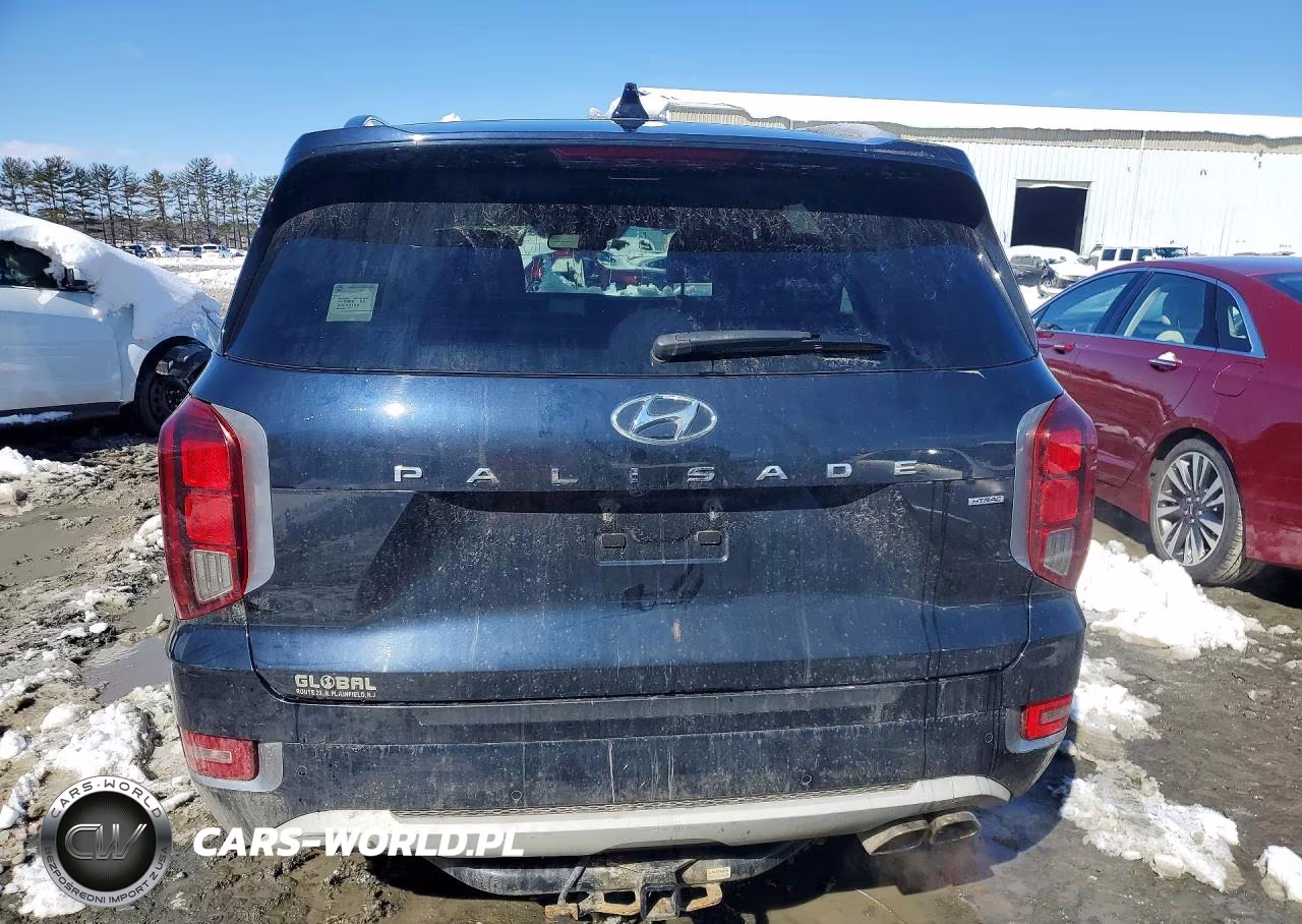 2021 Hyundai Palisade Limited VIN:KM8R5DHEXMU251750 - 6