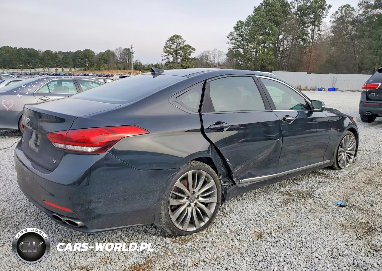 2015 Hyundai Genesis 5.0L VIN:KMHGN4JF4FU020744 - 3