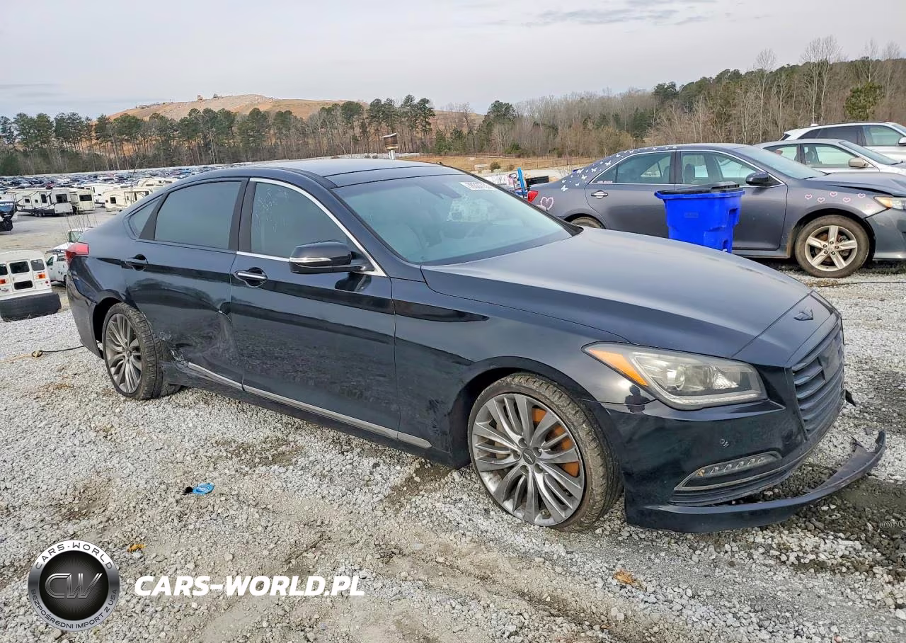 2015 Hyundai Genesis 5.0L VIN:KMHGN4JF4FU020744 - 4