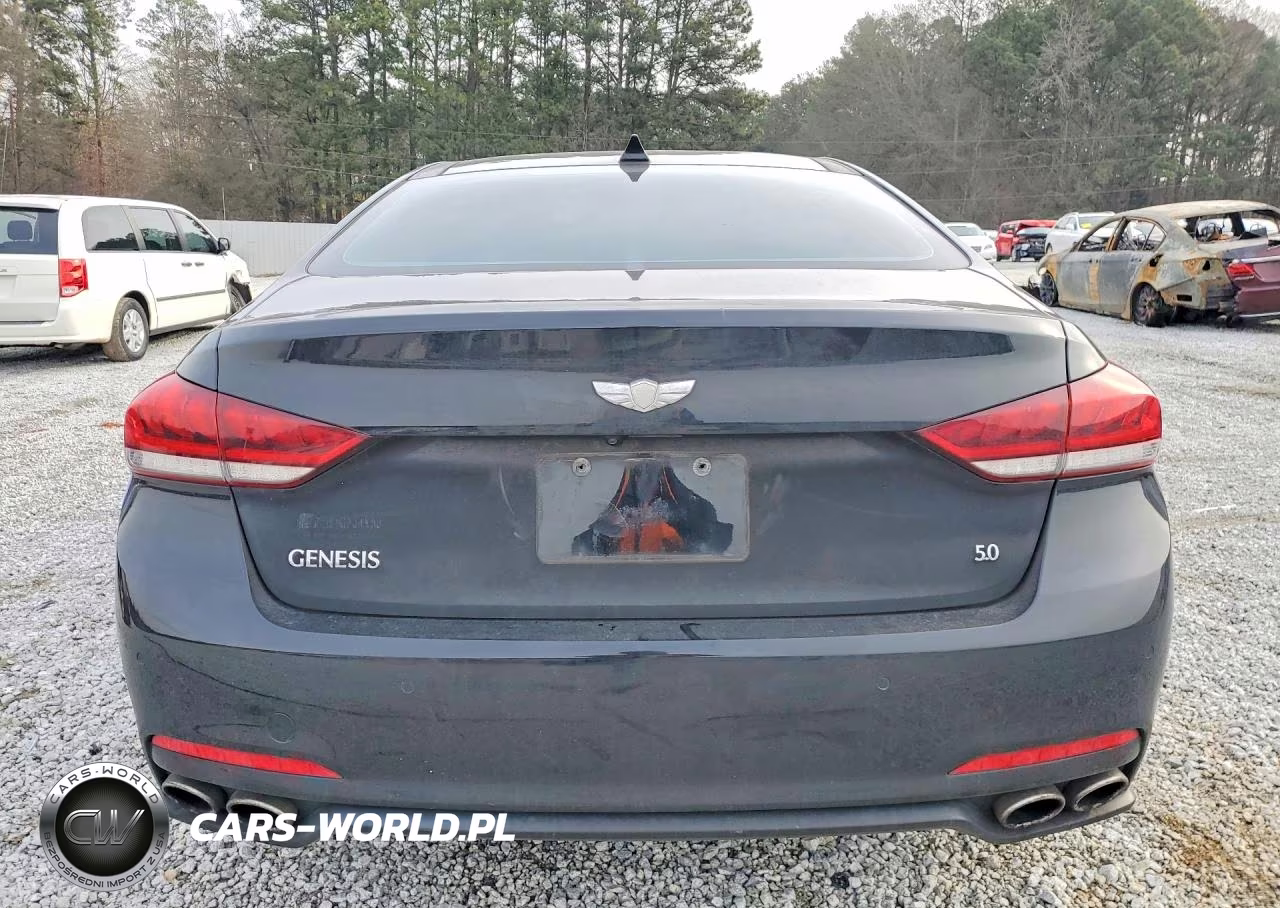 2015 Hyundai Genesis 5.0L VIN:KMHGN4JF4FU020744 - 6
