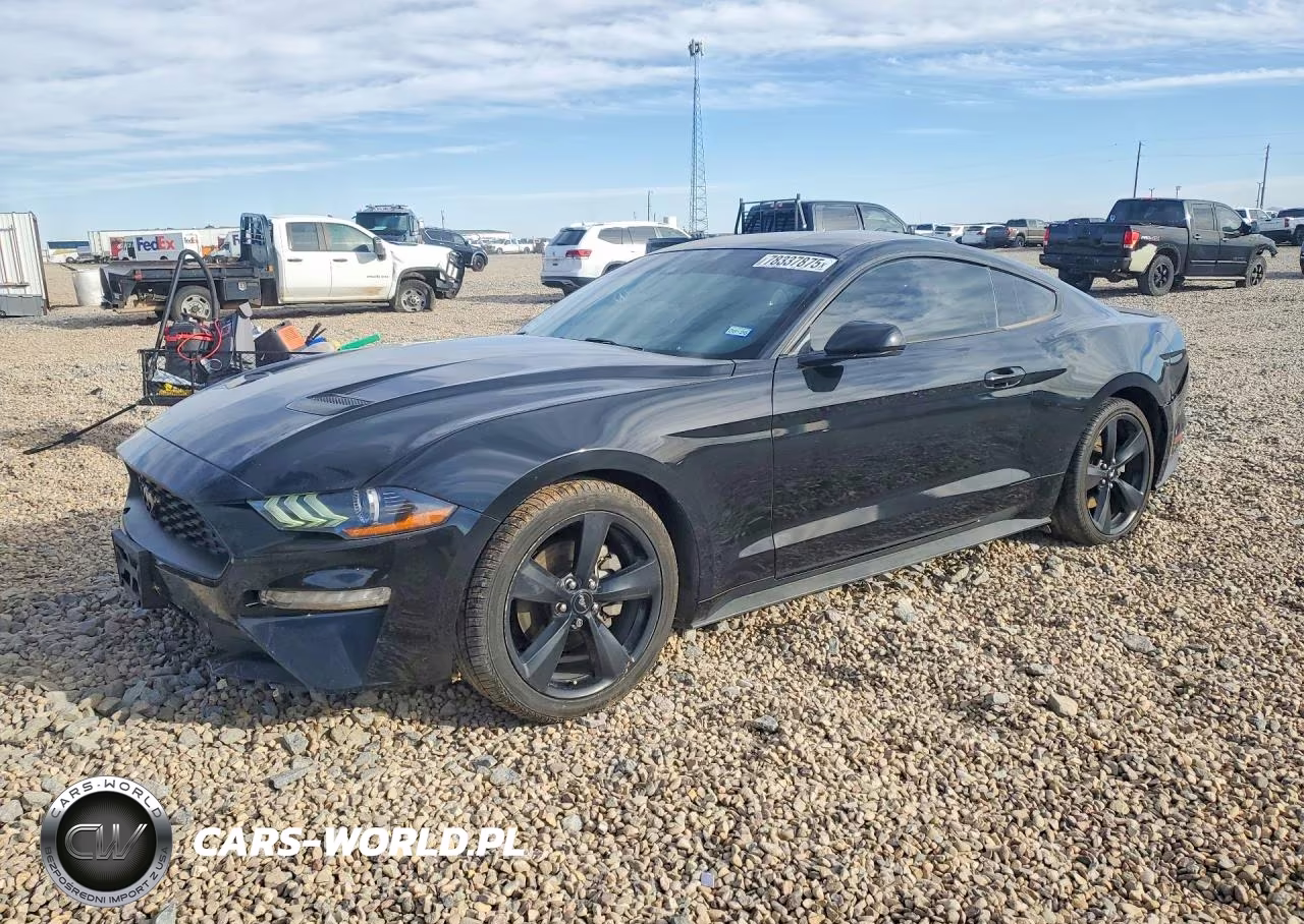 2022 Ford Mustang – zdjęcie 1 z 12