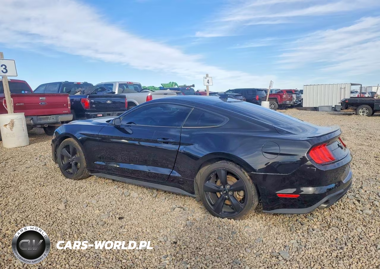 2022 Ford Mustang VIN:1FA6P8TH7N5135966 - 2