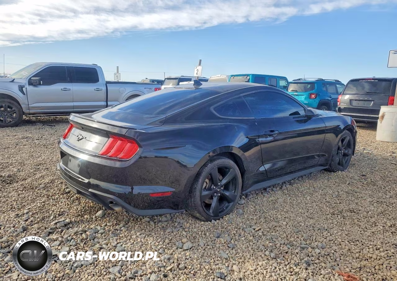 2022 Ford Mustang VIN:1FA6P8TH7N5135966 - 3