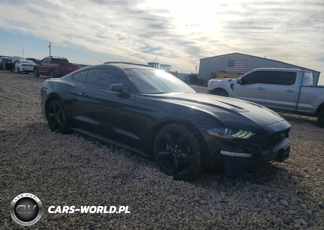 2022 Ford Mustang VIN:1FA6P8TH7N5135966 - 4