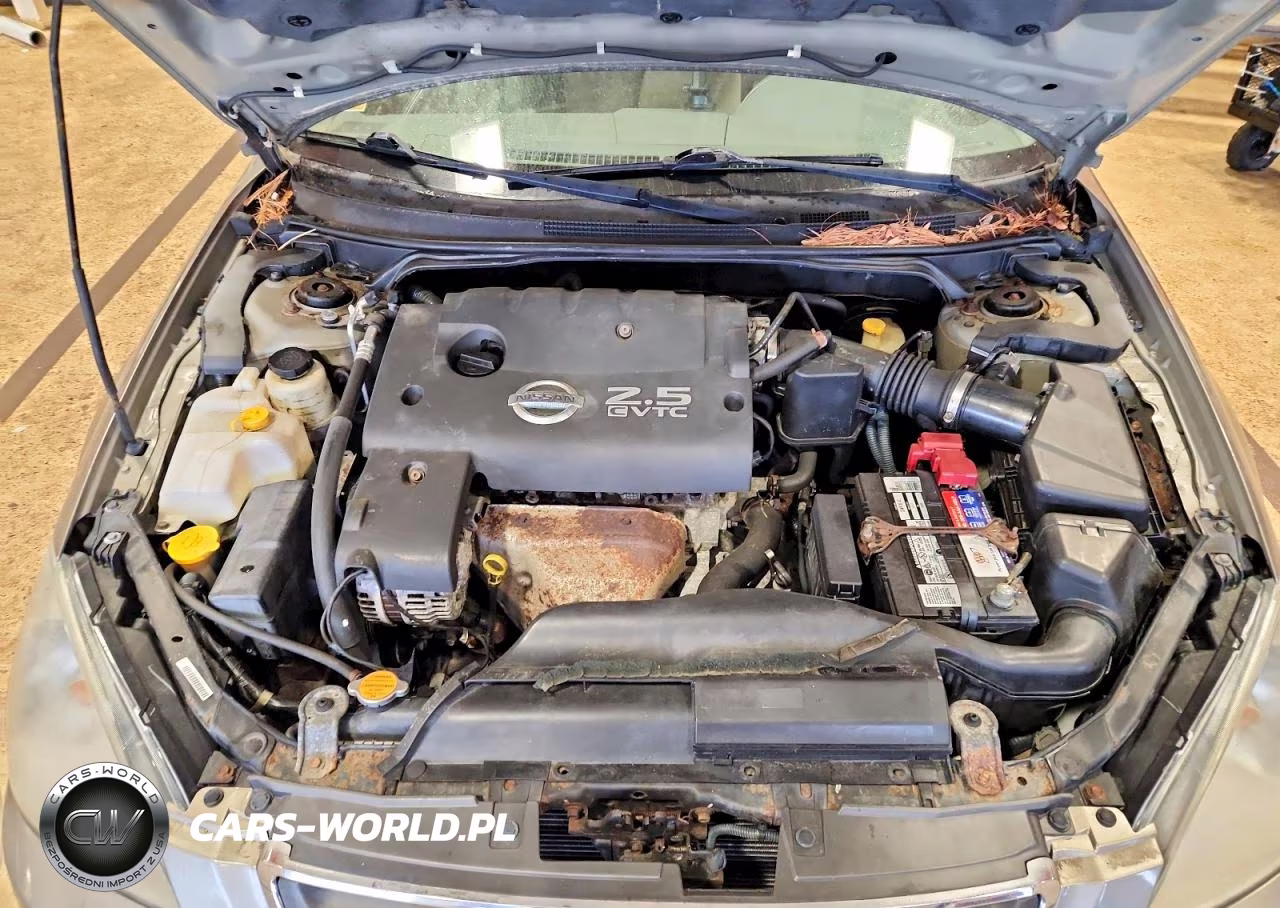 2003 Nissan Altima 2.5 VIN:1N4AL11D03C113149 - 11