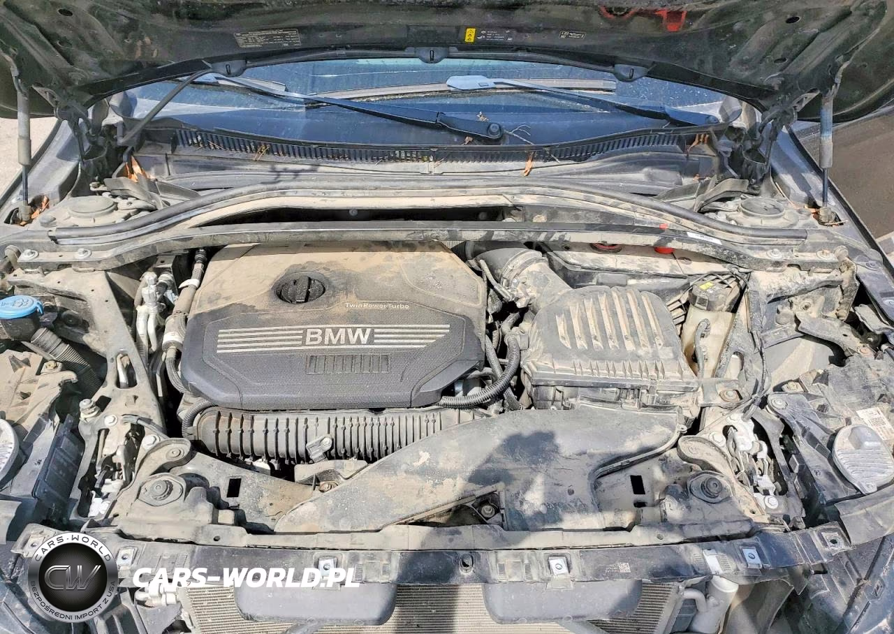 2021 BMW 228Xi VIN:WBA73AK01M7H63859 - 11