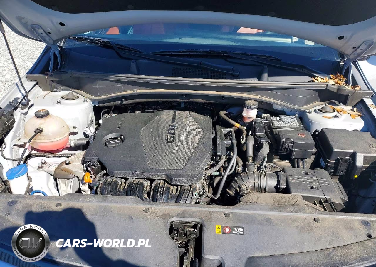 2023 Kia Sportage Sx VIN:5XYK43AF6PG050682 - 12