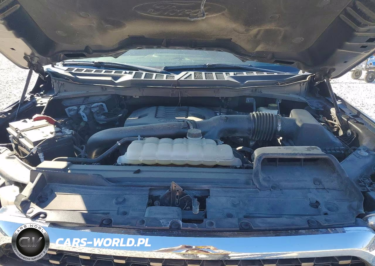 2023 Ford F150 Supercrew VIN:1FTFW1E88PFD22003 - 11