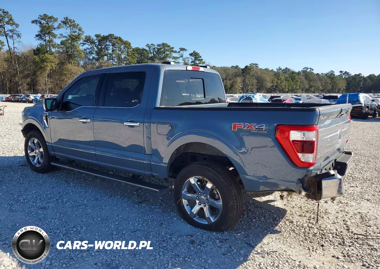 2023 Ford F150 Supercrew VIN:1FTFW1E88PFD22003 - 2
