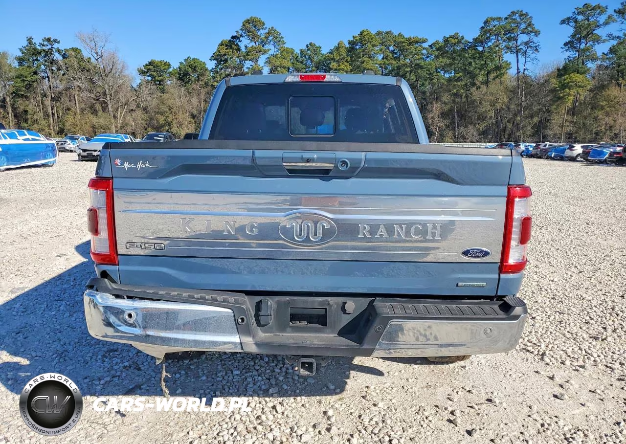 2023 Ford F150 Supercrew VIN:1FTFW1E88PFD22003 - 6