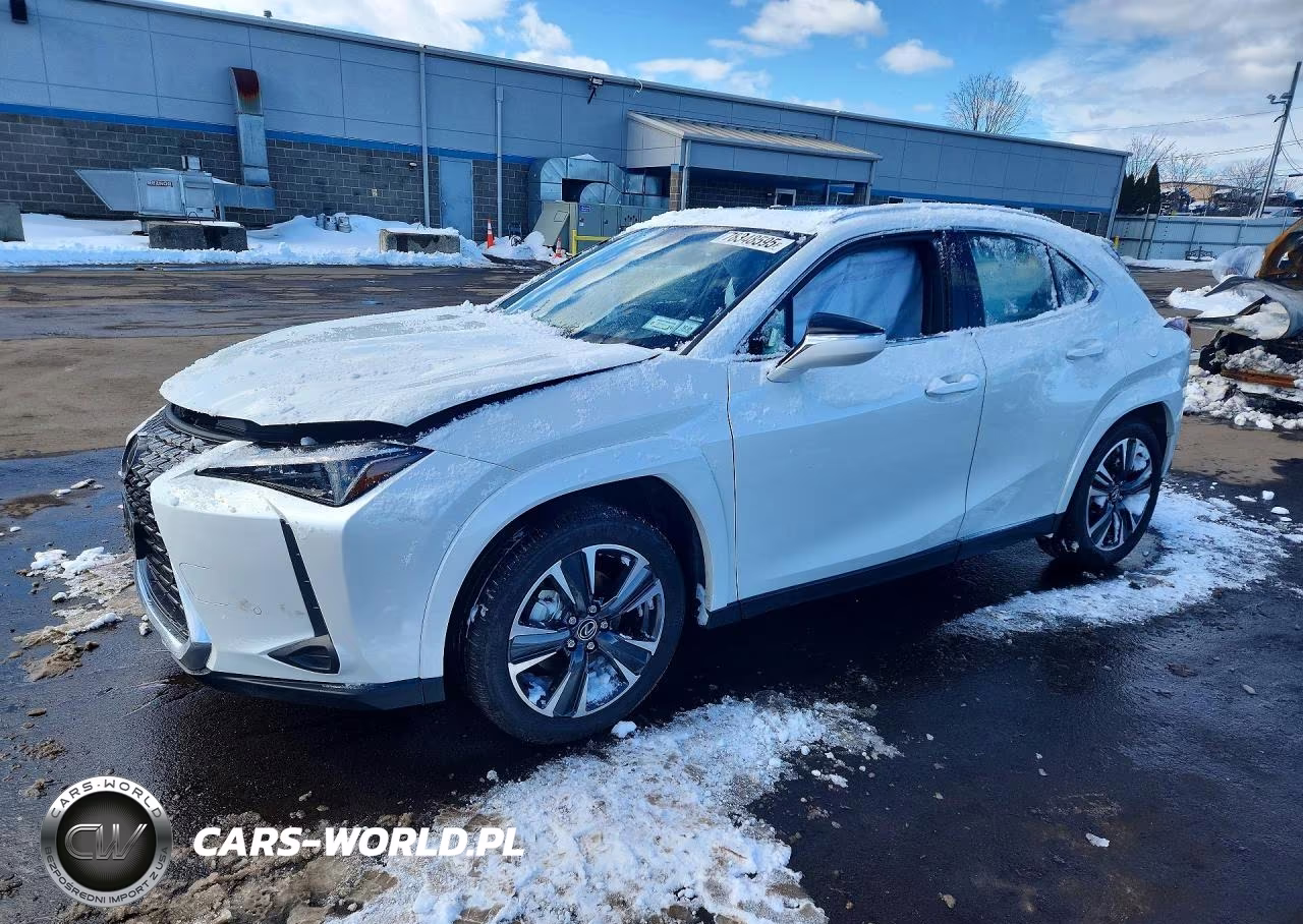 2025 Lexus Ux 300H Base