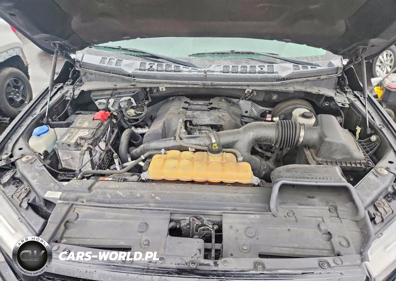 2018 Ford F150 Supercrew VIN:1FTEW1CP1JKD43165 - 11
