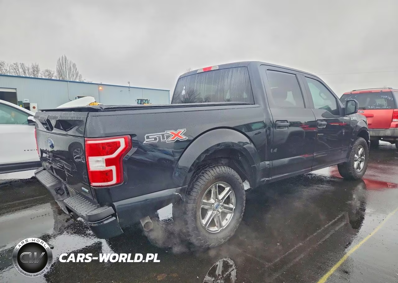 2018 Ford F150 Supercrew VIN:1FTEW1CP1JKD43165 - 3
