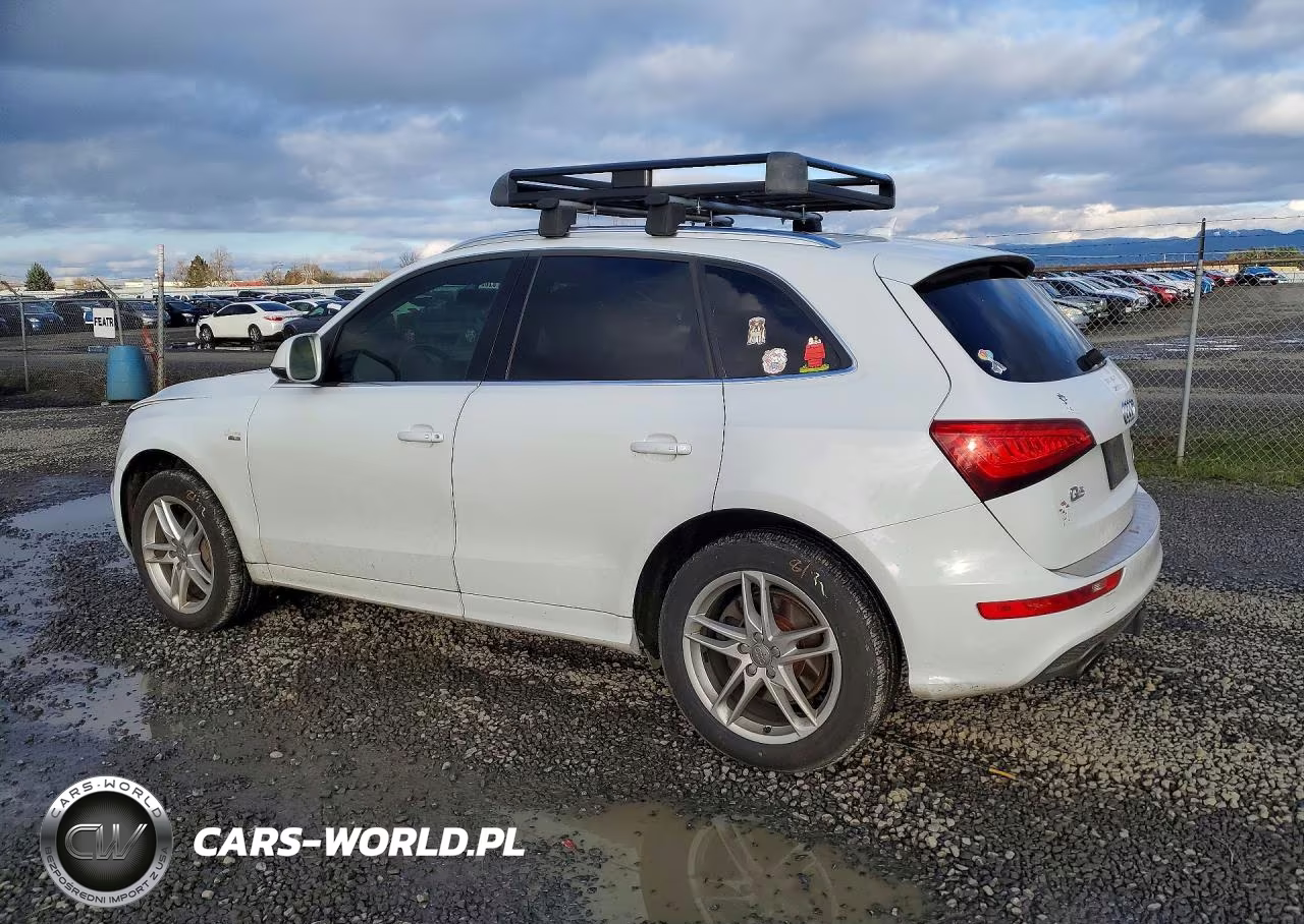 2013 Audi Q5 Premium Plus VIN:WA1DGAFP1DA098084 - 2