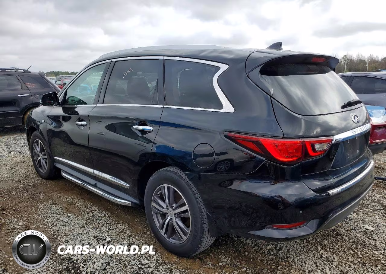 2019 Infiniti Qx60 Luxe VIN:5N1DL0MN6KC509909 - 2